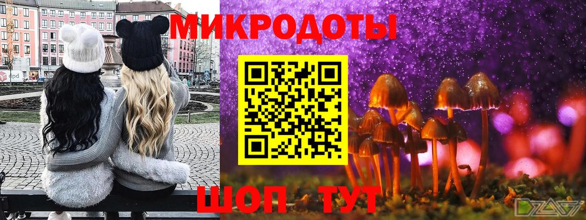 Галлюциногенные грибы GOLDEN TEACHER Нижний Новгород